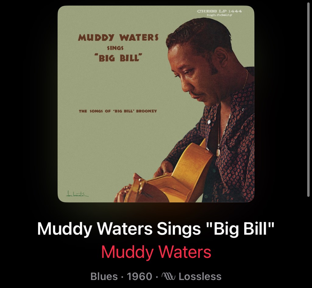 Album cover of Muddy Waters: ...Sings Big Bill