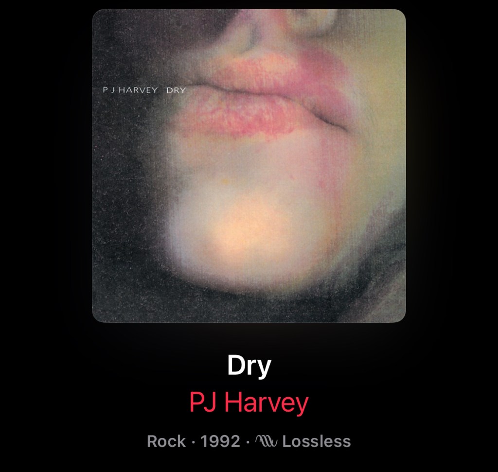 Album cover for PJ Harvey: DRY